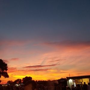 Meet your Posher, Sandy